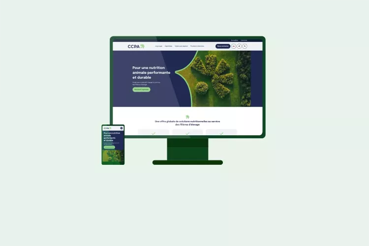 Mockup CCPA